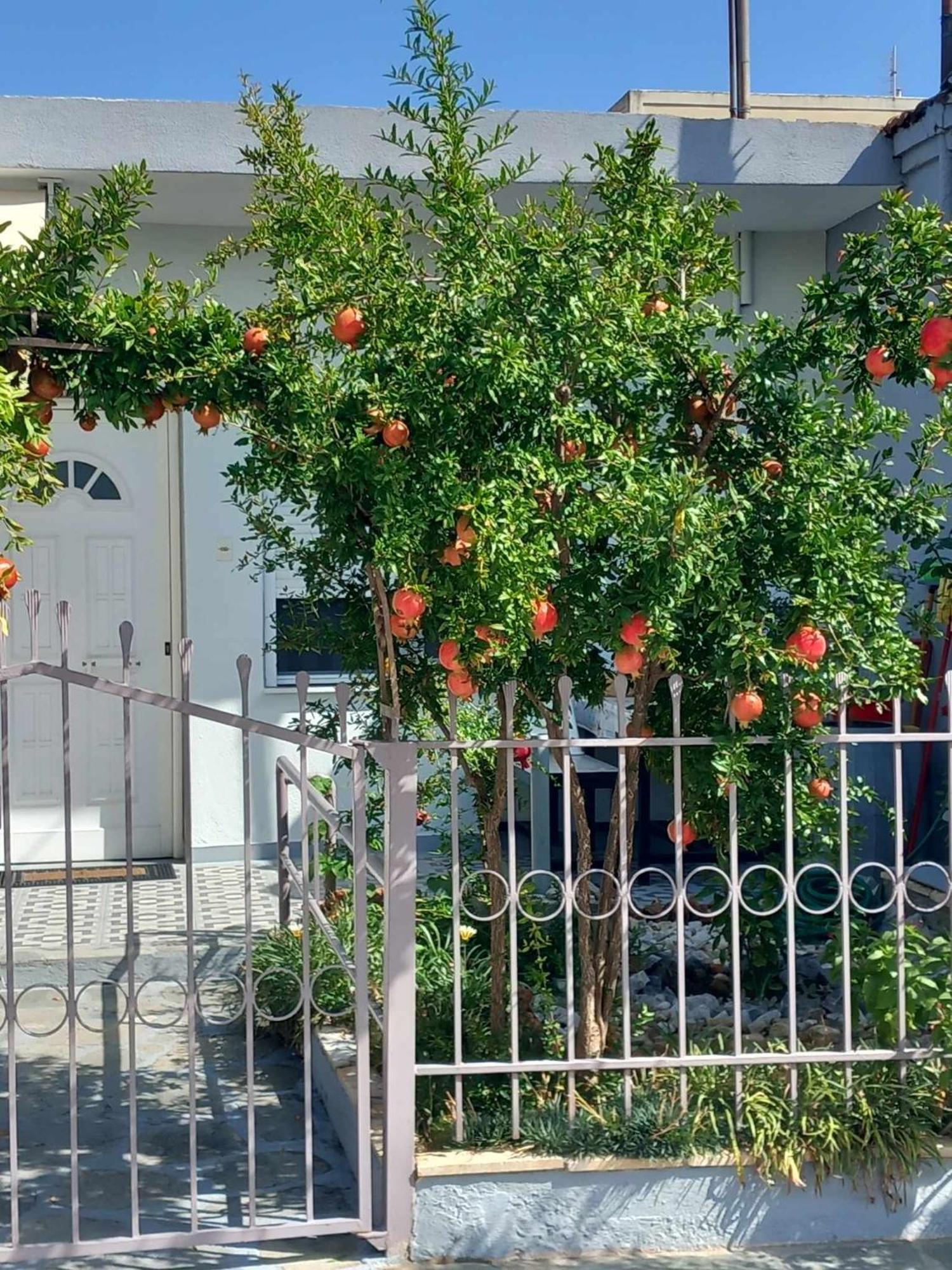 Néa Péramos Anastasia'S Home מראה חיצוני תמונה
